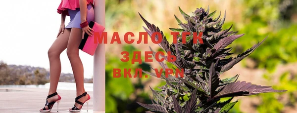 индика Балабаново