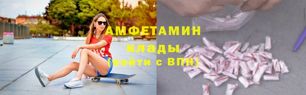 индика Балабаново