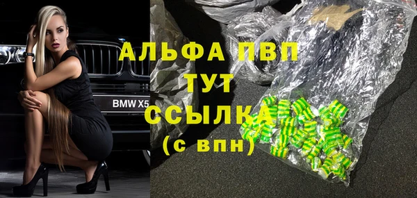 индика Балабаново
