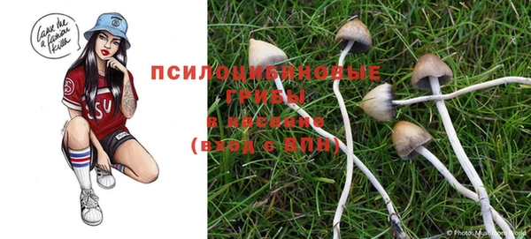 а пвп мука Баксан