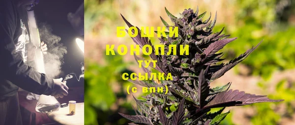 индика Балабаново