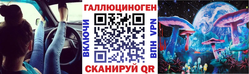 blacksprut ССЫЛКА  Лермонтов  Псилоцибиновые грибы Magic Shrooms 